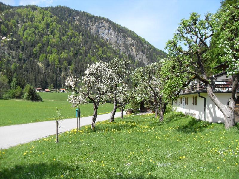 Gasthaus - Pension - Cafe Doerfl Kiefersfelden Exterior photo